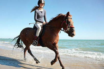 cavallo mare